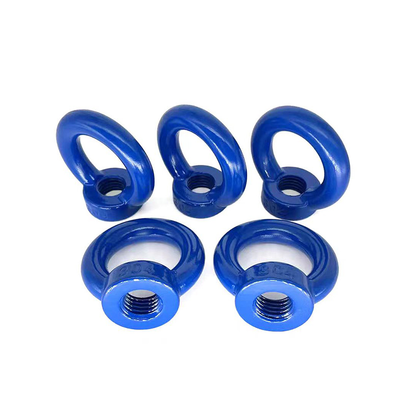 Teflon Coating Din 582 Lifting Eye Nut Polished Finish with Rust Protection for Marine Engineering Applications